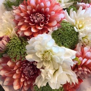 Meet your Posher, Lia